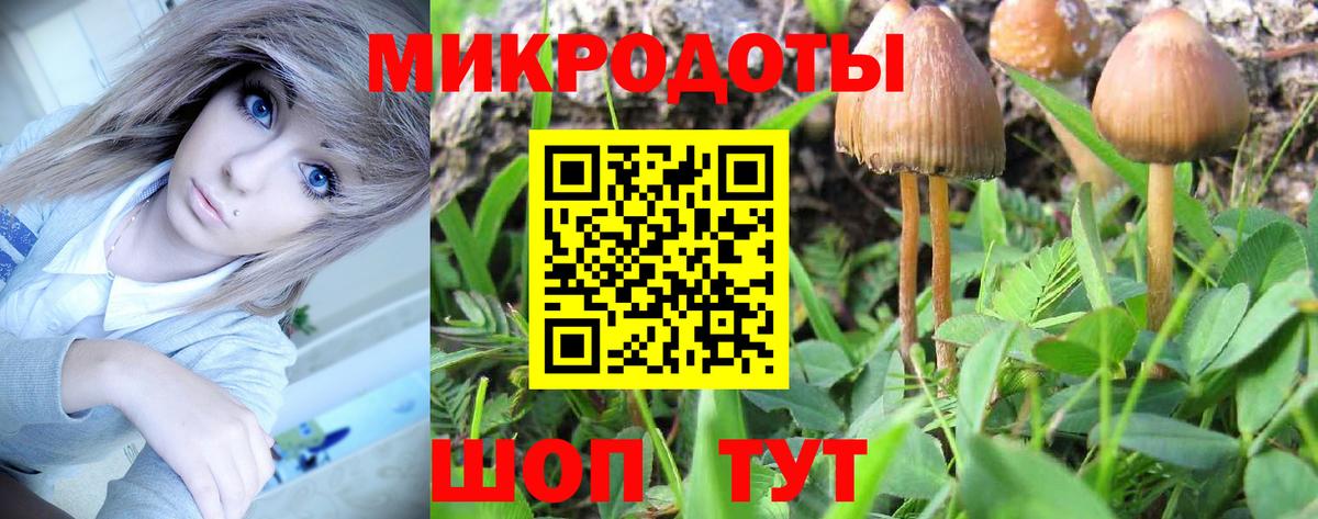 Псилоцибиновые грибы мицелий Кимовск