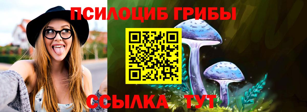 Галлюциногенные грибы Cubensis  Вход с VPN  Псилоцибиновые грибы Magic Shrooms  где найти наркотики  Кимовск 